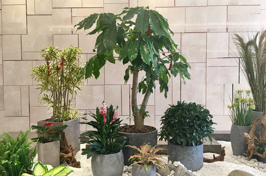 全程跟踪，固定客服，合作无忧