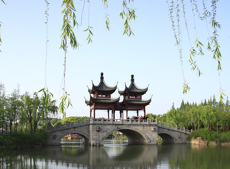 武汉苗木销售|园林养护|植物租摆