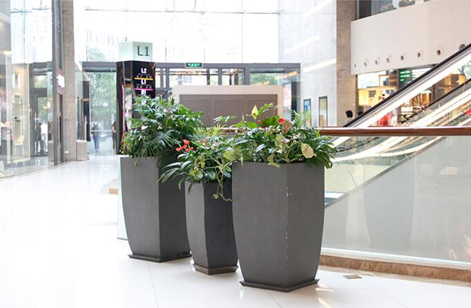 商场花卉租摆