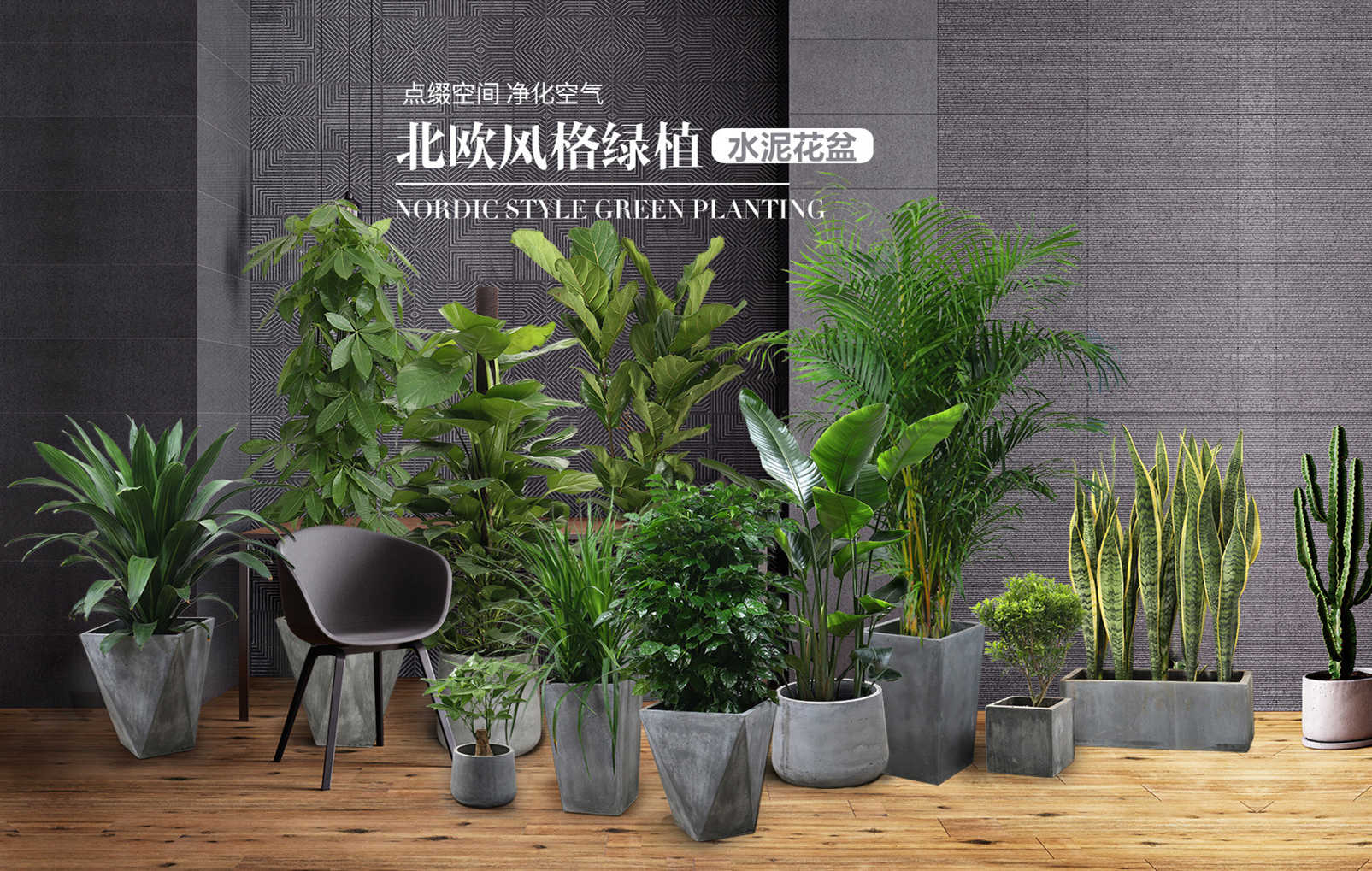 北欧风植物合集