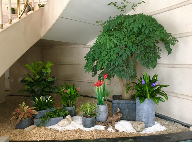 楼梯拐角花卉布置.jpg