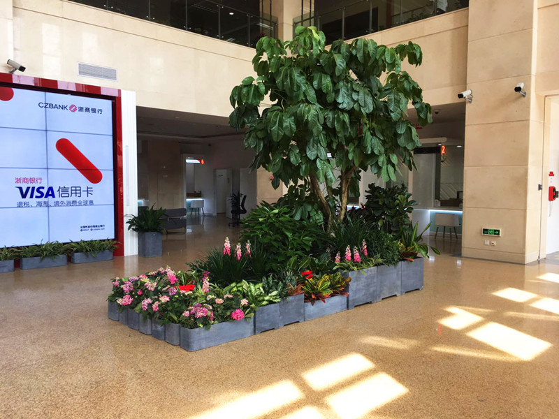 银行大厅盆栽租摆