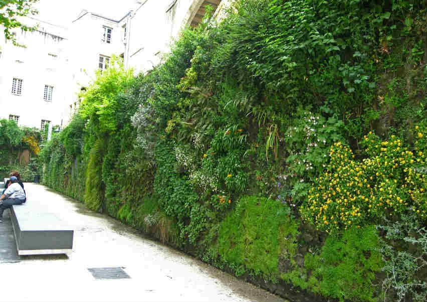 户外绿植墙4