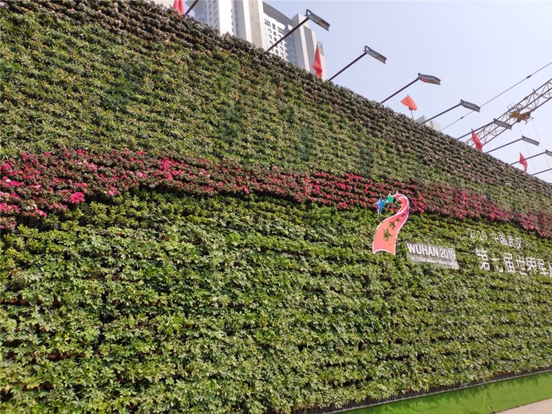 户外绿植墙2