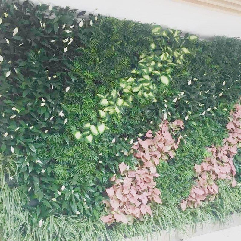 室内植物墙4