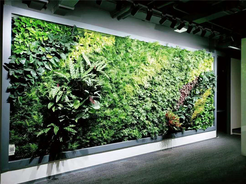 室内植物墙2