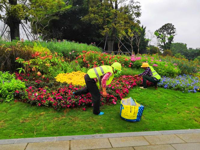 花境养护