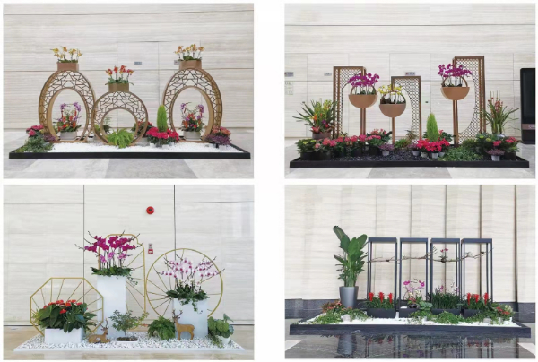 写字楼花卉组合